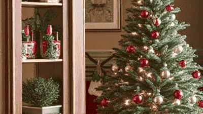 Winter Holiday Traditions: Best Decor Ideas for Festive Celebrations